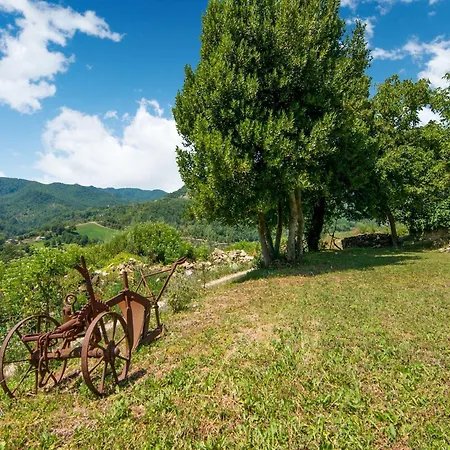 In With Pool بيت للعطل *